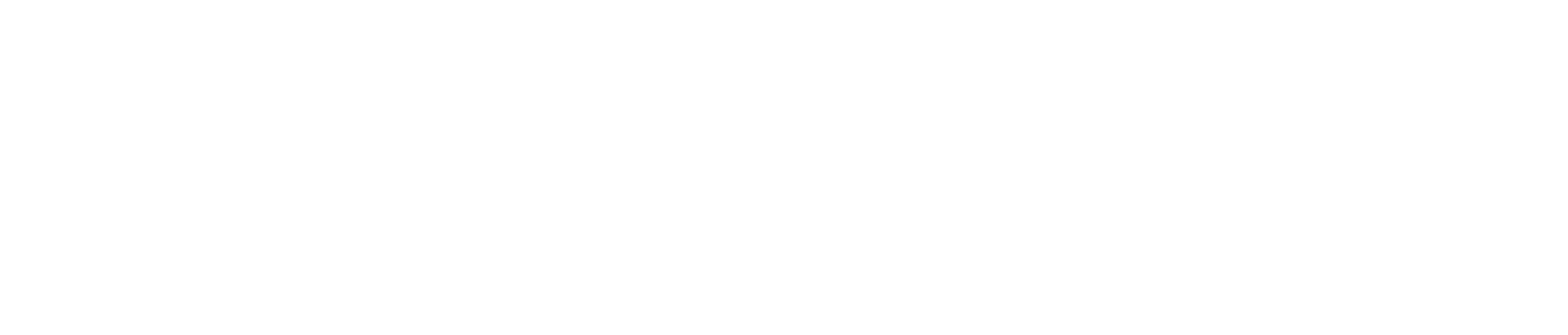 Choice Service Providers Inc. logo in full white.